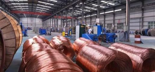 沣西新城两家电线企业荣膺2023年民营经济转型升级示范